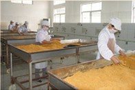 精選肉松批發 黃金松、原味、辣味、雞肉松一站式供應，量大優惠包郵