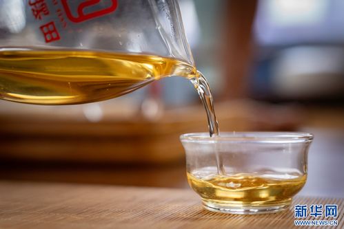 萬(wàn)千氣象看云南 | 鳳慶春茶開(kāi)采，茶香四溢的夏秋滋味